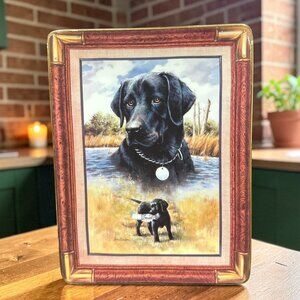 Vintage News Hound Plate by Larry Chandler – Franklin Mint Collector Plate